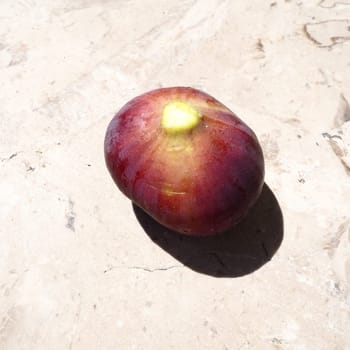 Fig or fig tree, or common fig tree, or Ficus carica is a subtropical deciduous plant of the genus Ficus of the Mulberry family. Ripe purple fig fruits on a light background. Healthy food.