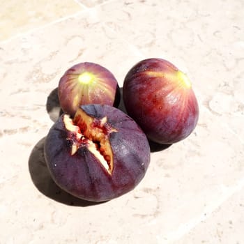 Fig or fig tree, or common fig tree, or Ficus carica is a subtropical deciduous plant of the genus Ficus of the Mulberry family. Ripe purple fig fruits on a light background. Healthy food.