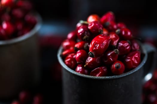 Rosehip in the cup. Benefits and used as a natural remedy. Natural therapy. dark mode style.