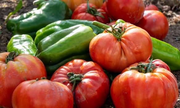the fresh vegetables from the garden