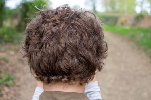 a back view of the young boy head
