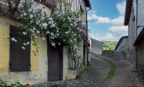 typical street of a french village with flowers