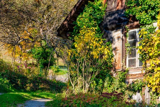 old barn window , at autumn countryside, France