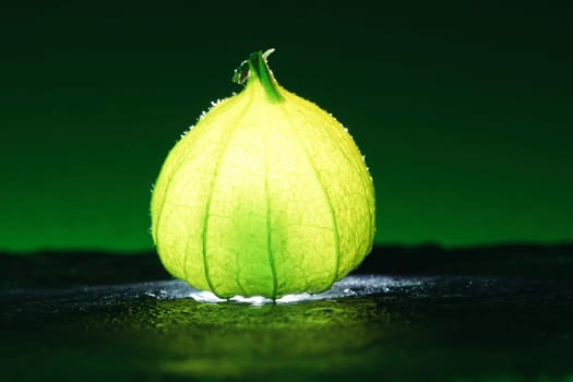 Physalis on black wet soil with green background. Illuminated fruit. Vitamin C rich fruit. Structures shown in detail. Photo food