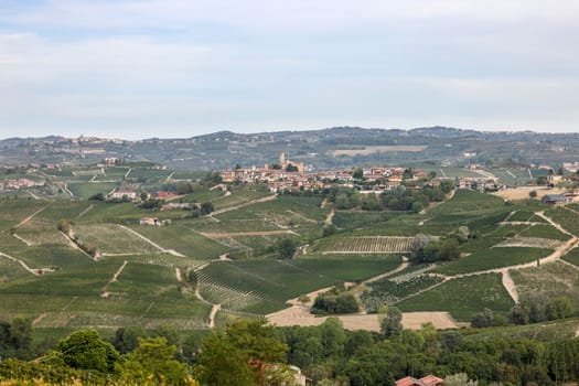 Langhe vineyards near Serralunga d'Alba. Unesco Site, Piedmont, Italy
