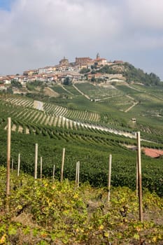 Langhe vineyards near La Morra, Unesco Site, Piedmont, Italy
