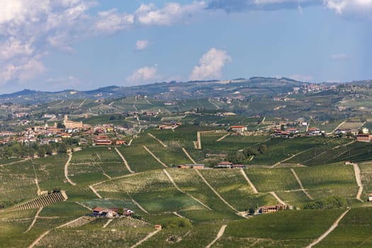Langhe vineyards near Barolo and La Morra, Unesco Site, Piedmont, Italy