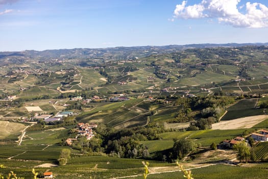 Langhe vineyards near Barolo and La Morra, Unesco Site, Piedmont, Italy