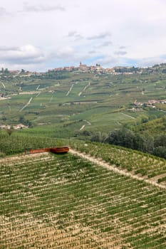 Langhe vineyards near Grinzane Cavour. Unesco Site, Piedmont, Italy