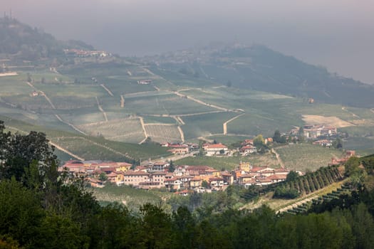 Langhe vineyards near Barolo and La Morra, Unesco Site, Piedmont, Italy