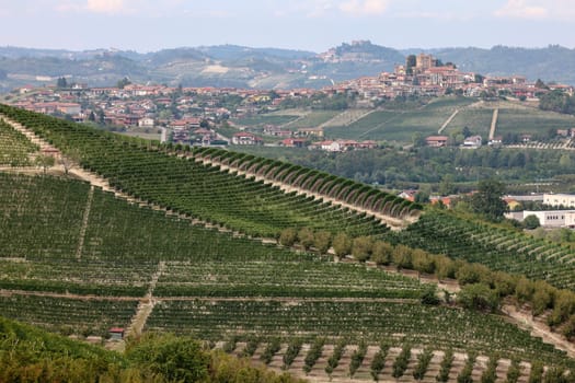 Langhe vineyards near Grinzane Cavour. Unesco Site, Piedmont, Italy