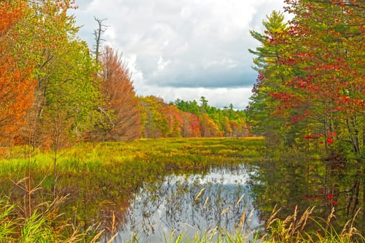 Fall Colors and North Woods Pond in the Sylvania Wilderness in Michigan