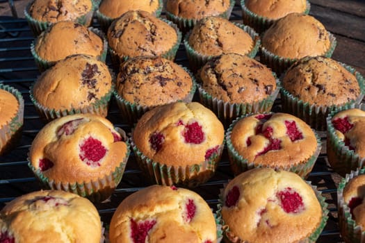 close up of homemade cranberry and chocolate muffins
