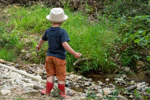 Young child in nature, a back view