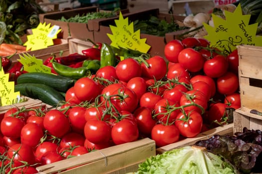 delicious organic tomatoes on the french market place