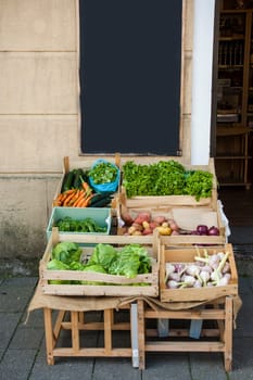 Fresh vegetables in crates. Space for text.