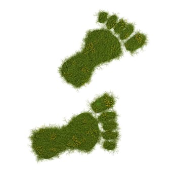 3d render of an ecological footprint, grassy footprint on a white background, 3d illustration