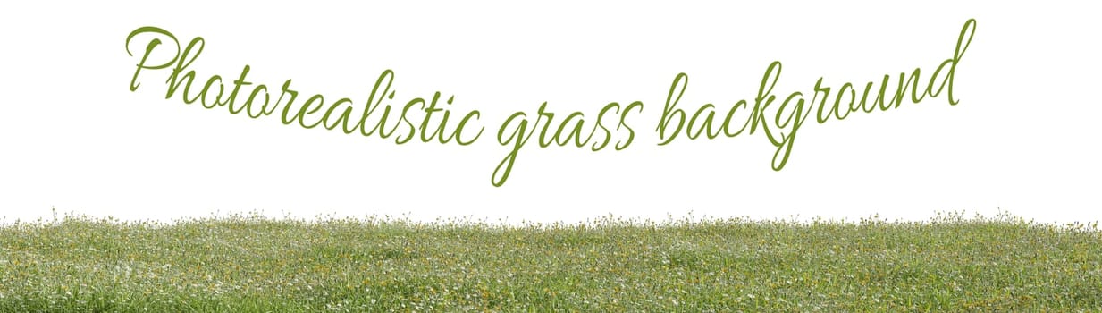Photorealistic grass hill on a white background, 3d rendering