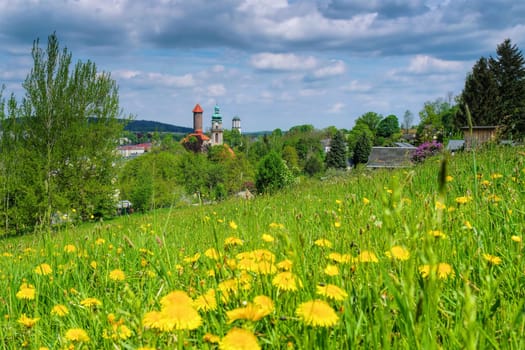 the town Auerbach in spring, Landscape Vogtland , Germany