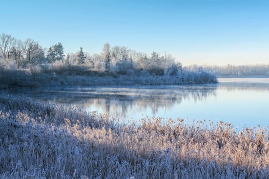 Drochow Lake in Lusatian Lake District in winter, Germany