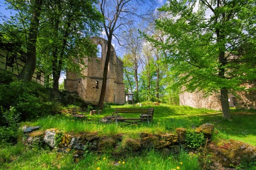 Burgstein ruin in spring, Landscape Vogtland , Germany