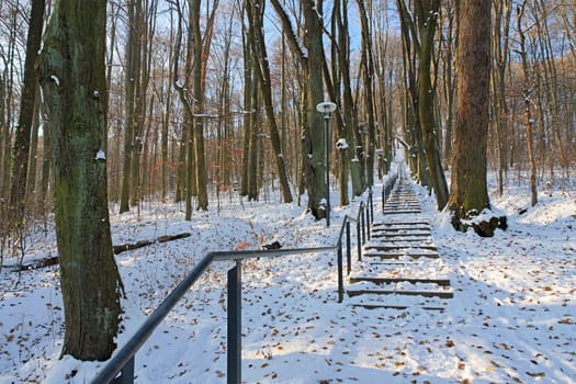 in the town of Goerlitz, the mountain Landeskrone in winter a beautiful staircase as a climb