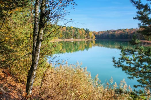 Autumn forest by the lake, indian summer