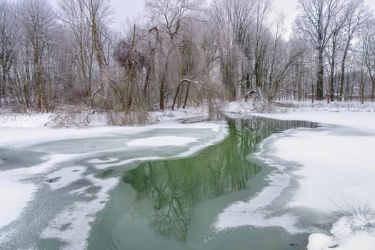 Spreeforest in cold winter, Brandenburg