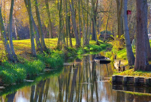 Spree Forest in fall, Brandenburg