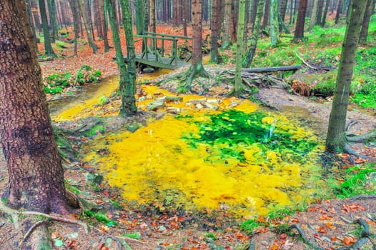 sulfur source in Lusatian Mountains in autumn forest