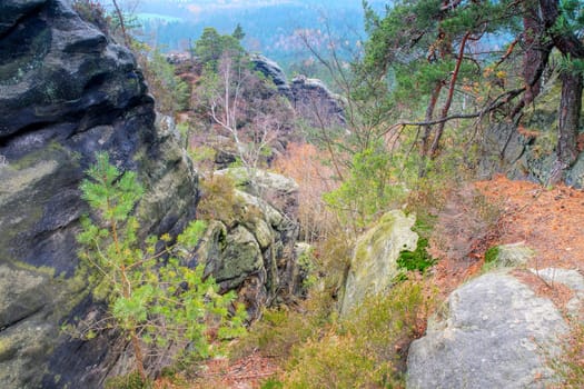 Sandstone rocks in the Elbe Sandstone Mountains in autumn