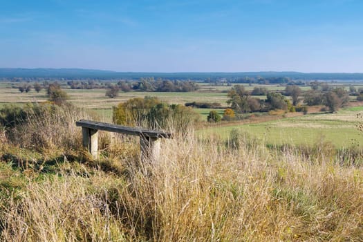 National Park Odertal in the Uckermark, unique floodplain landscape