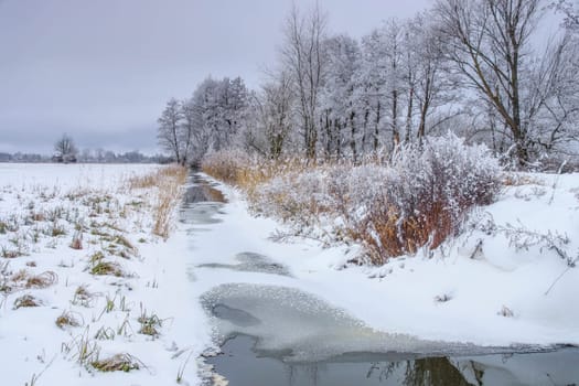 Spreewald im Winter - Spreeforest in cold winter, Brandenburg