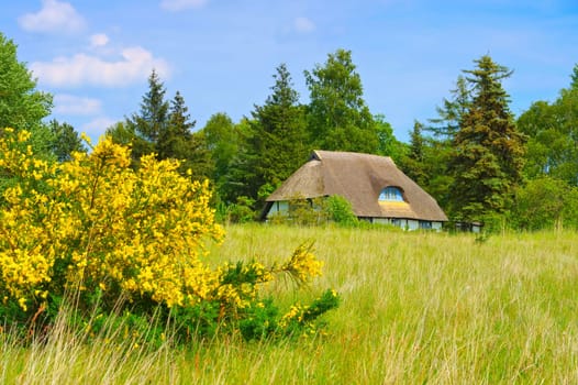 Freesenort on island Ummanz in Germany in spring