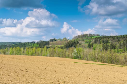 landscape withe fields in Vogtland in spring, Germany
