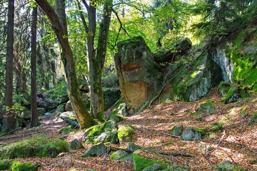 rocks in Zittau Mountains, autumn