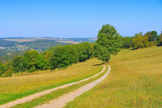 summer meadow in the Erzgebirge, Saxony