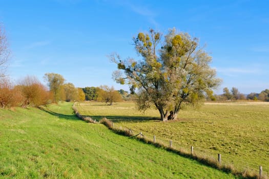 National Park Odertal in the Uckermark, unique floodplain landscape