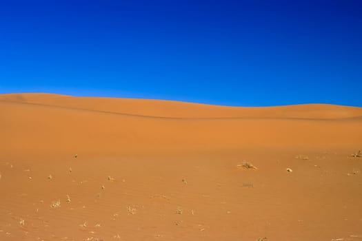 Africa, Namibia, Hardap, Namib Naukluft Park, Sesriem