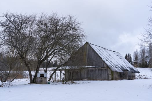 Old barn in the village on a winter day