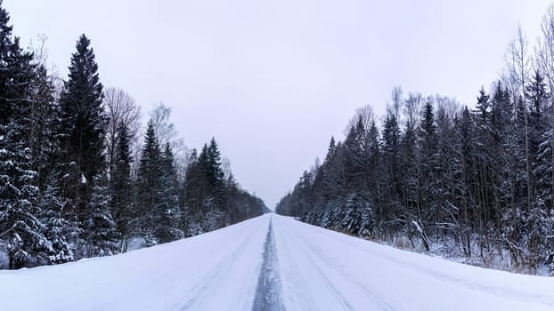 Road covered winter snow in the forest