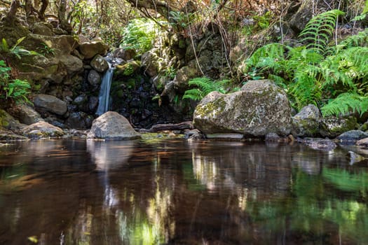 Mini waterfall in Madeira Island. Levada Lagoa Dona Beija