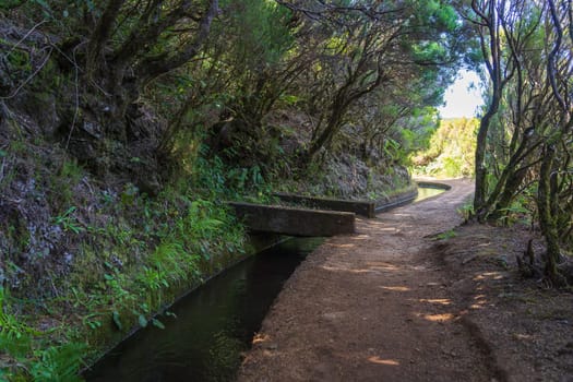 Hiking along levada irrigation channel at Madeira island in Portugal