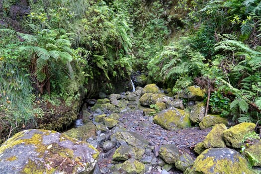 Mini waterfall in Madeira Island