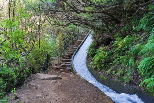 Water channel system called Levada in Madeira.