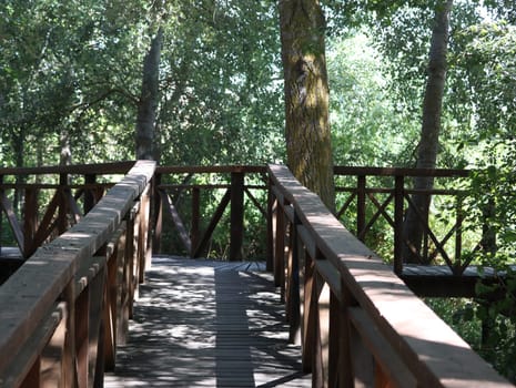 wooden path bound for the river safe walk