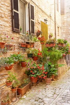 View of characteristic Italian stone houses in the village of medieval origin of Spello. Umbria. Italy. Vertically.
