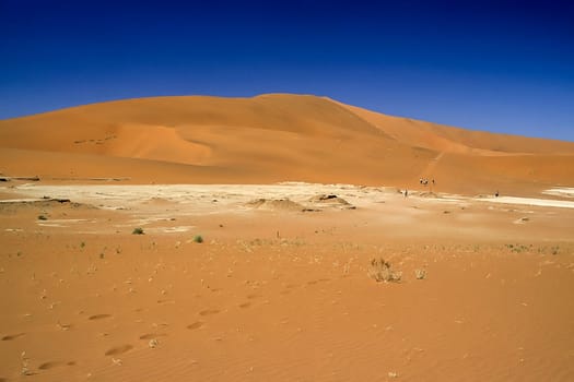 Africa, Namibia, Hardap, Namib Naukluft Park, Deadvlei