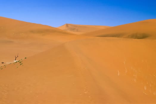 Africa, Namibia, Hardap, Namib Naukluft Park, Deadvlei