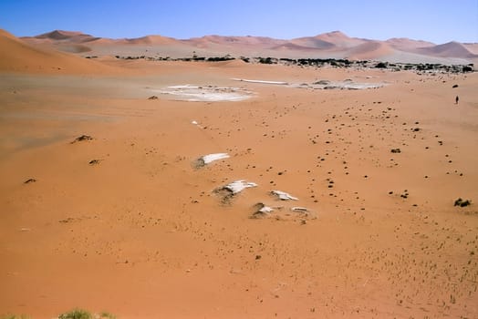 Africa, Namibia, Hardap, Namib Naukluft Park, Deadvlei